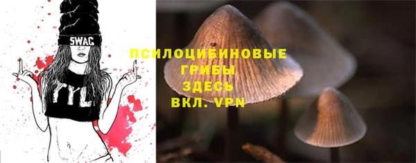 амф Алзамай